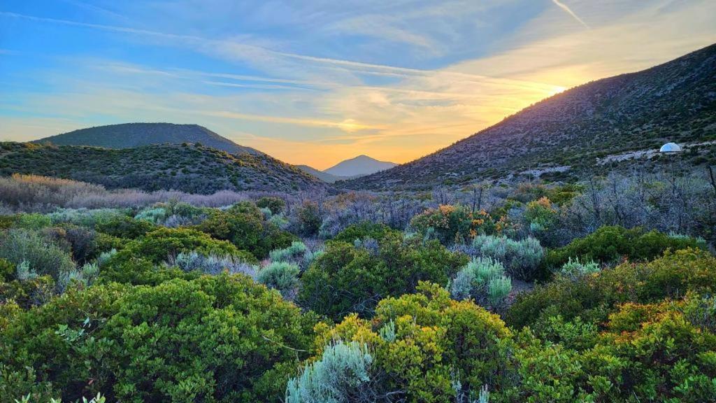 Sage Desert Dreams Mount Charleston Esterno foto