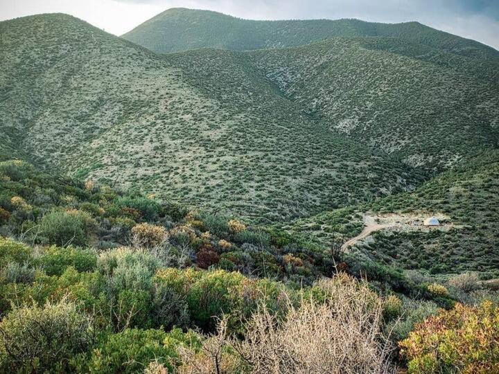 Sage Desert Dreams Mount Charleston Esterno foto